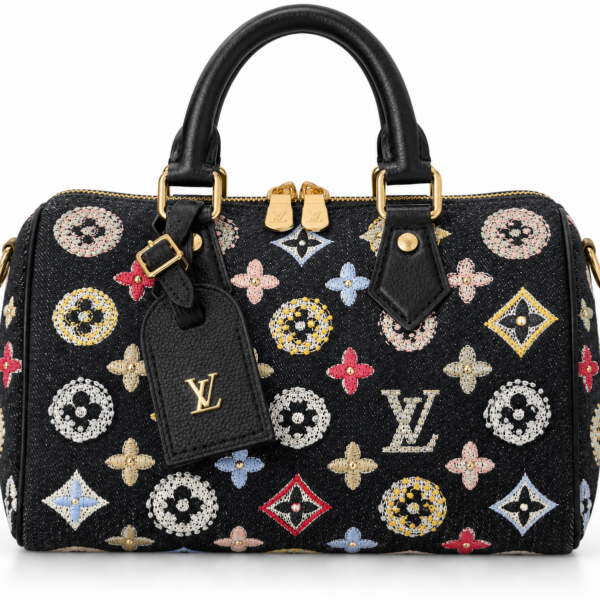 Louis Vuitton Black Embroidered Speedy Bag